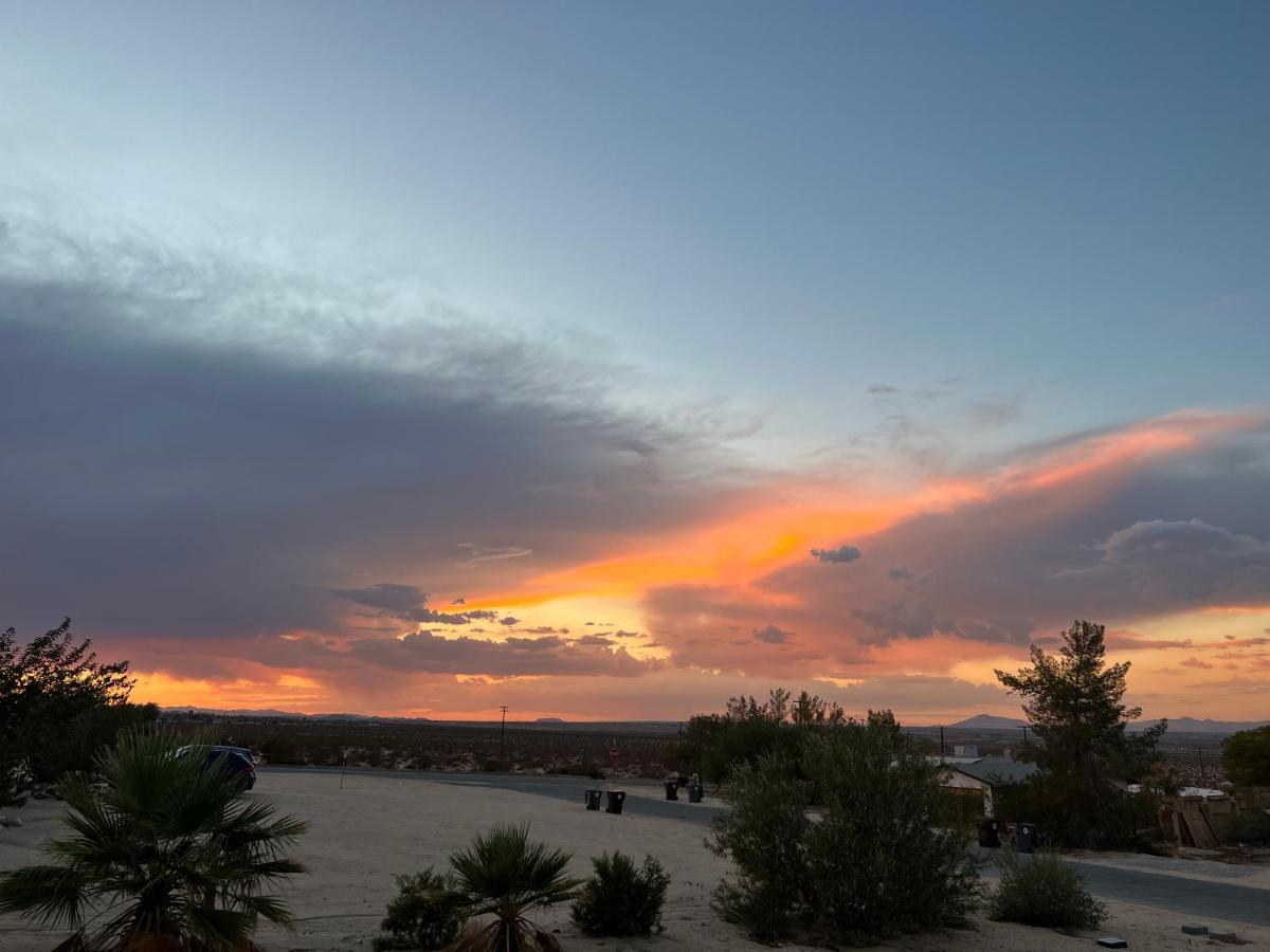 بيت شباب Bodhi House, Joshua Tree National Park تونتي ناين بالمز المظهر الخارجي الصورة