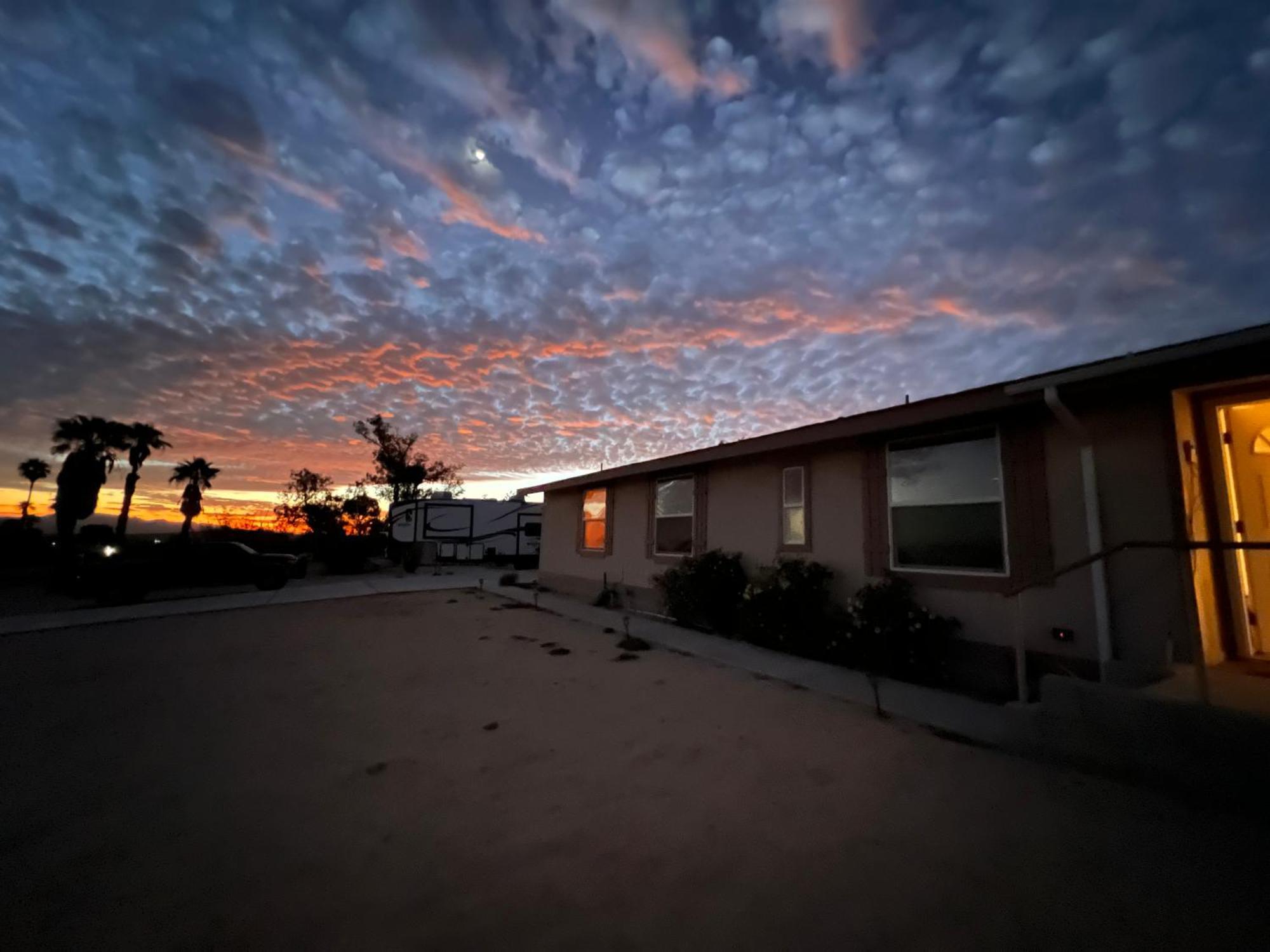 بيت شباب Bodhi House, Joshua Tree National Park تونتي ناين بالمز المظهر الخارجي الصورة